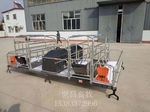 优质双体母猪产床 世昌畜牧低价销售助力高效养殖