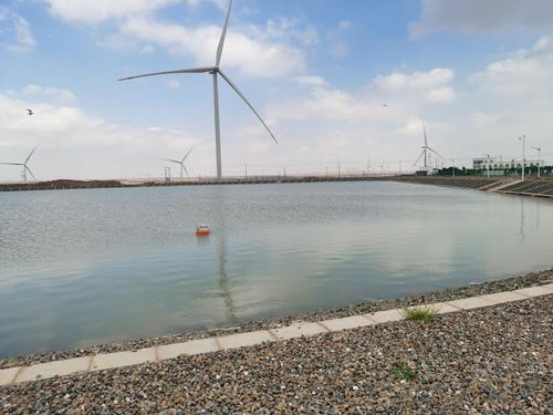 智慧渔业 水质监测守护蓝色生态，协同饲料销售驱动产业升级