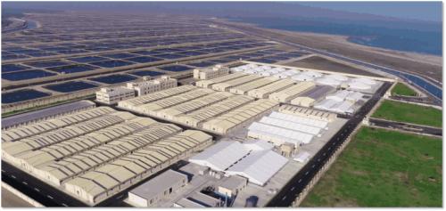 恒兴 中国水产民族品牌的崛起之路